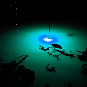  Mini Podvodné Ryby Príťažlivosť Lampa Lákať LED Blikajúce Rybárske Svetlo Squid Návnady, Nástrahy LED Svetlo,Šport a Zábava
